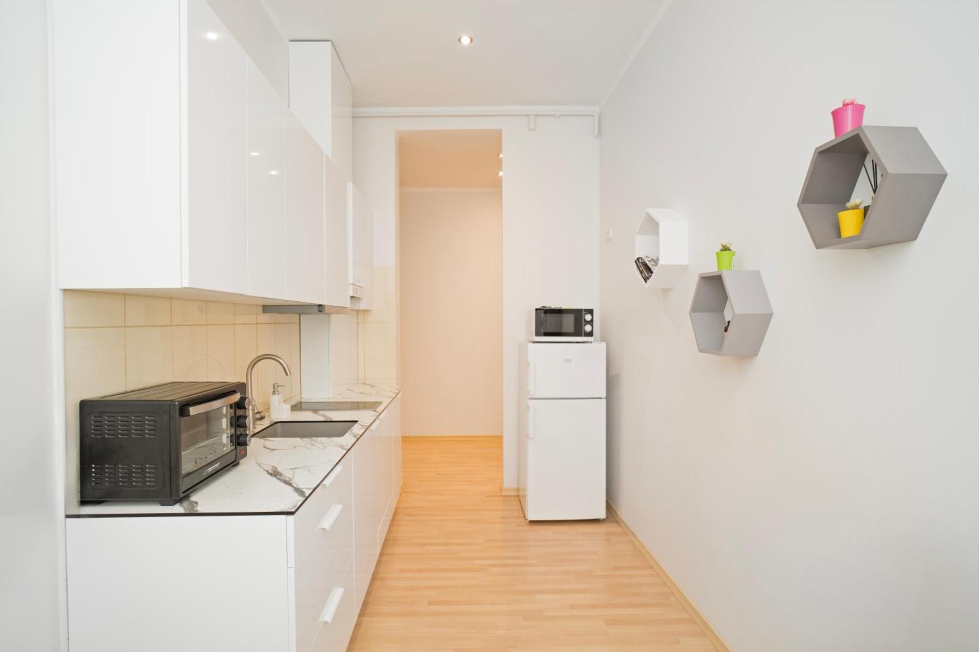 Kaunas Castle Apartments - One Bedroom Flat Eksteriør billede